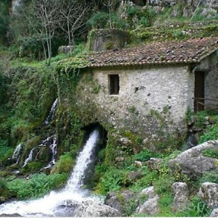 B&B Il Melograno Tortorella Bagian luar foto