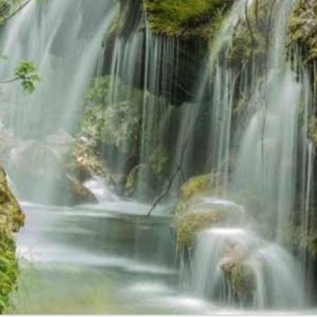 B&B Il Melograno Tortorella Bagian luar foto