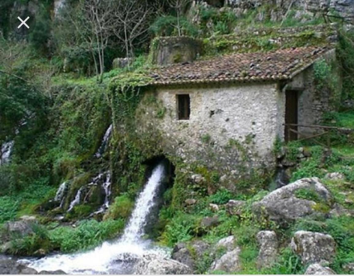 B&B Il Melograno Tortorella Bagian luar foto