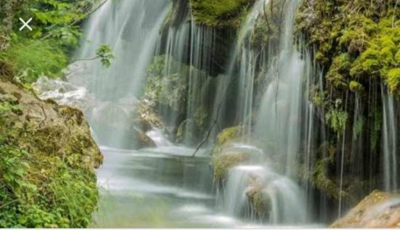 B&B Il Melograno Tortorella Bagian luar foto