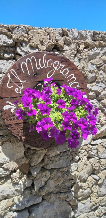 B&B Il Melograno Tortorella Bagian luar foto
