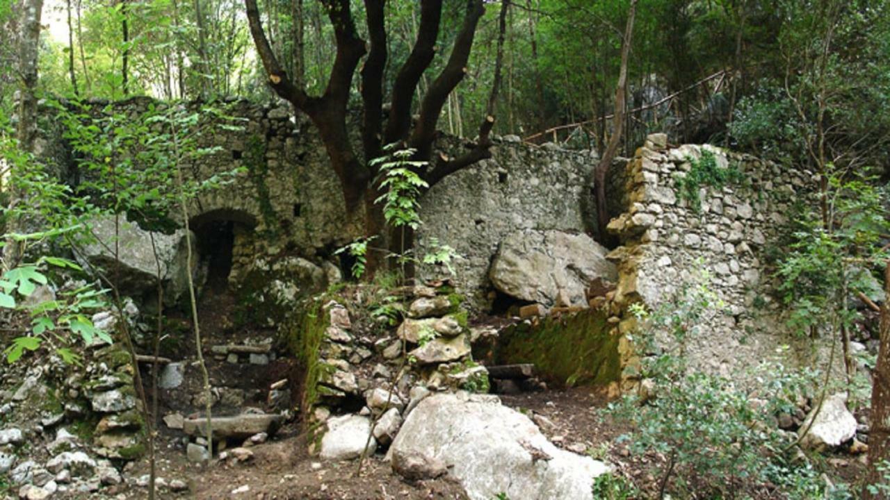 B&B Il Melograno Tortorella Bagian luar foto