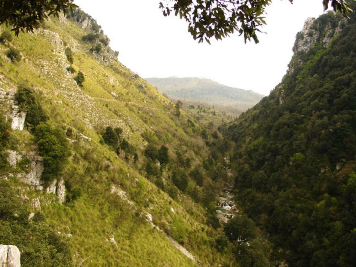 B&B Il Melograno Tortorella Bagian luar foto