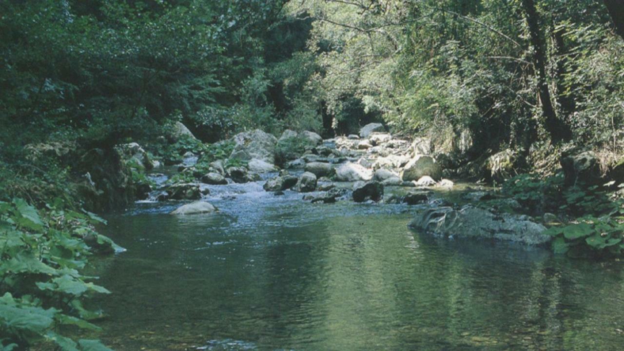 B&B Il Melograno Tortorella Bagian luar foto