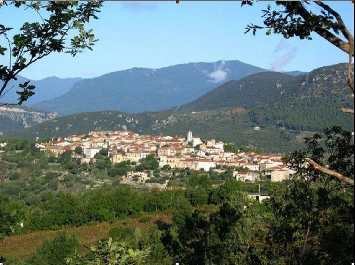 B&B Il Melograno Tortorella Bagian luar foto