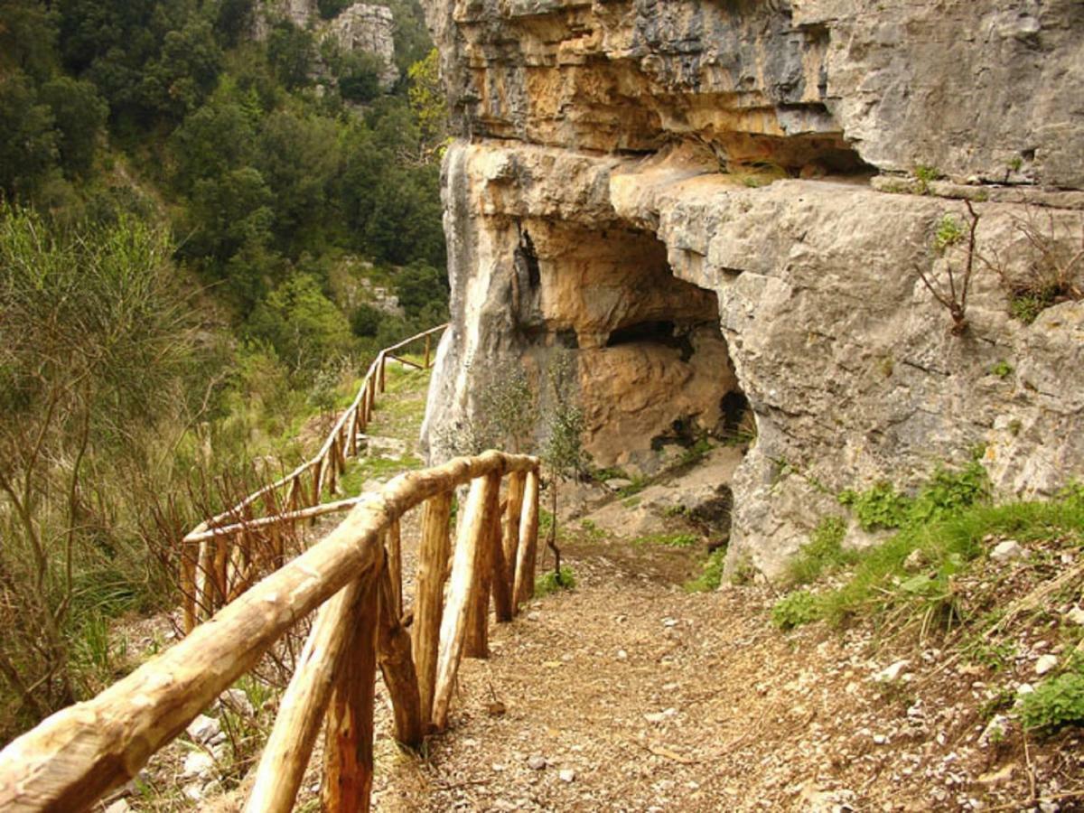 B&B Il Melograno Tortorella Bagian luar foto