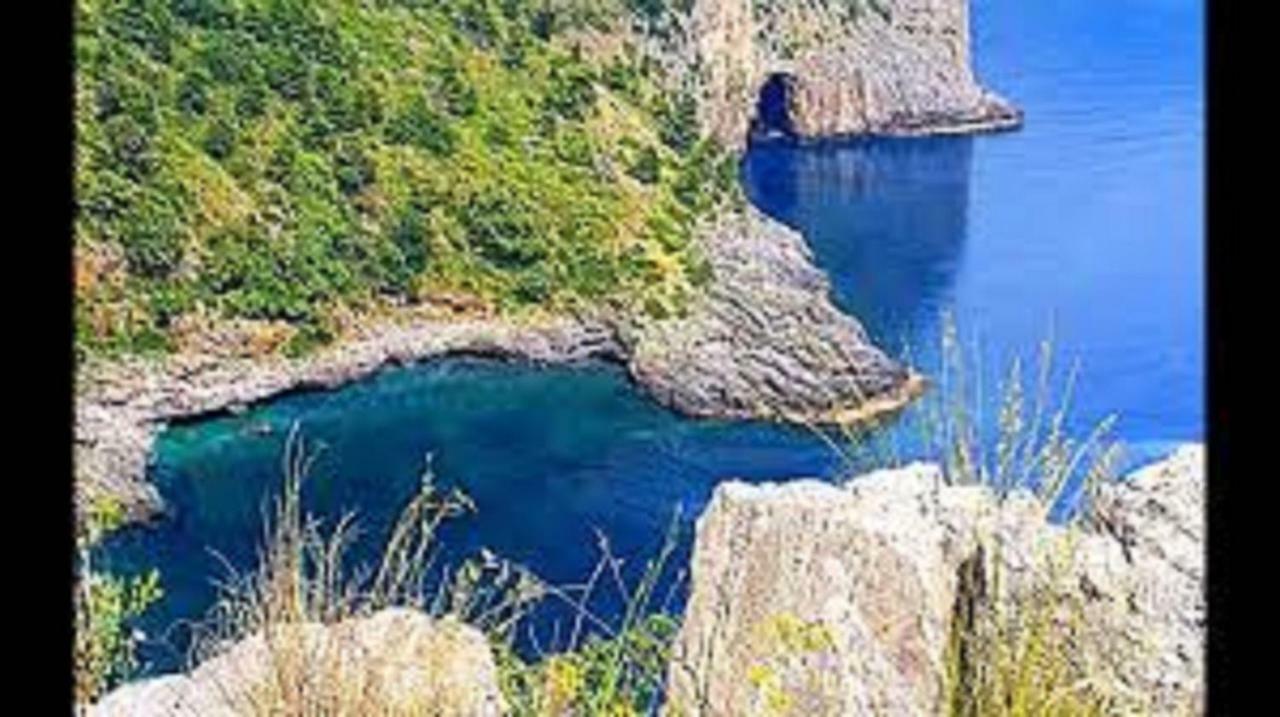 B&B Il Melograno Tortorella Bagian luar foto