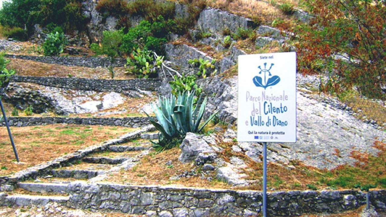 B&B Il Melograno Tortorella Bagian luar foto