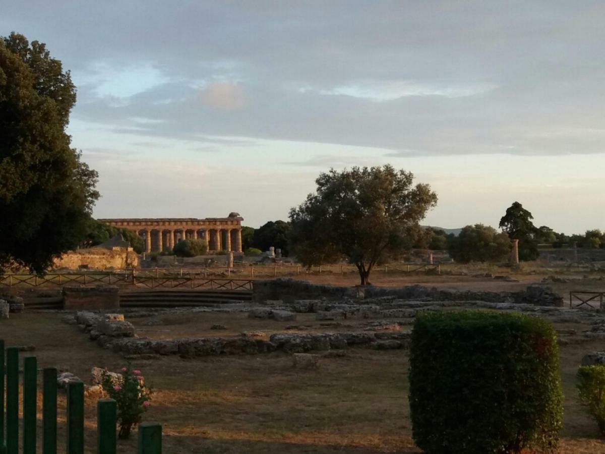 B&B Il Melograno Tortorella Bagian luar foto