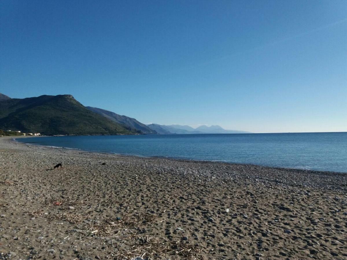 B&B Il Melograno Tortorella Bagian luar foto