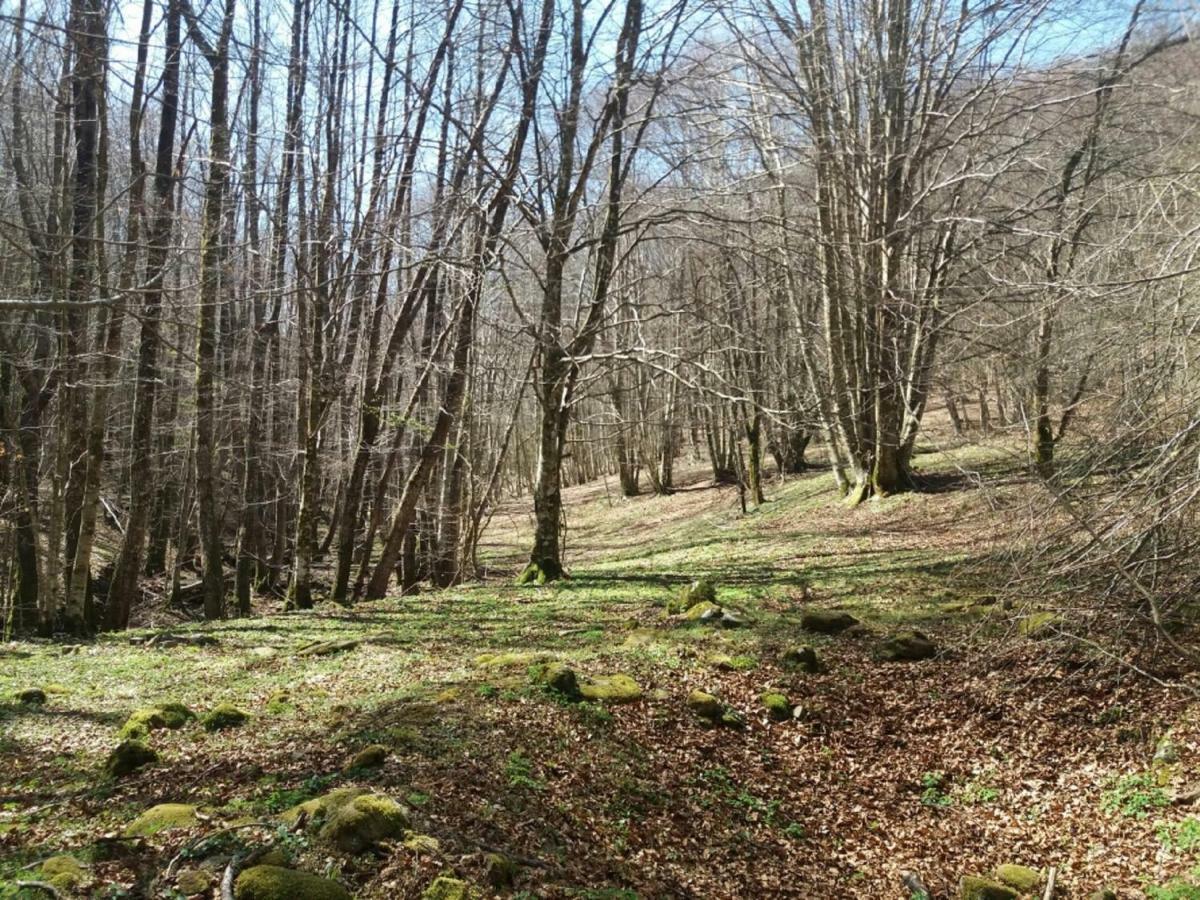 B&B Il Melograno Tortorella Bagian luar foto