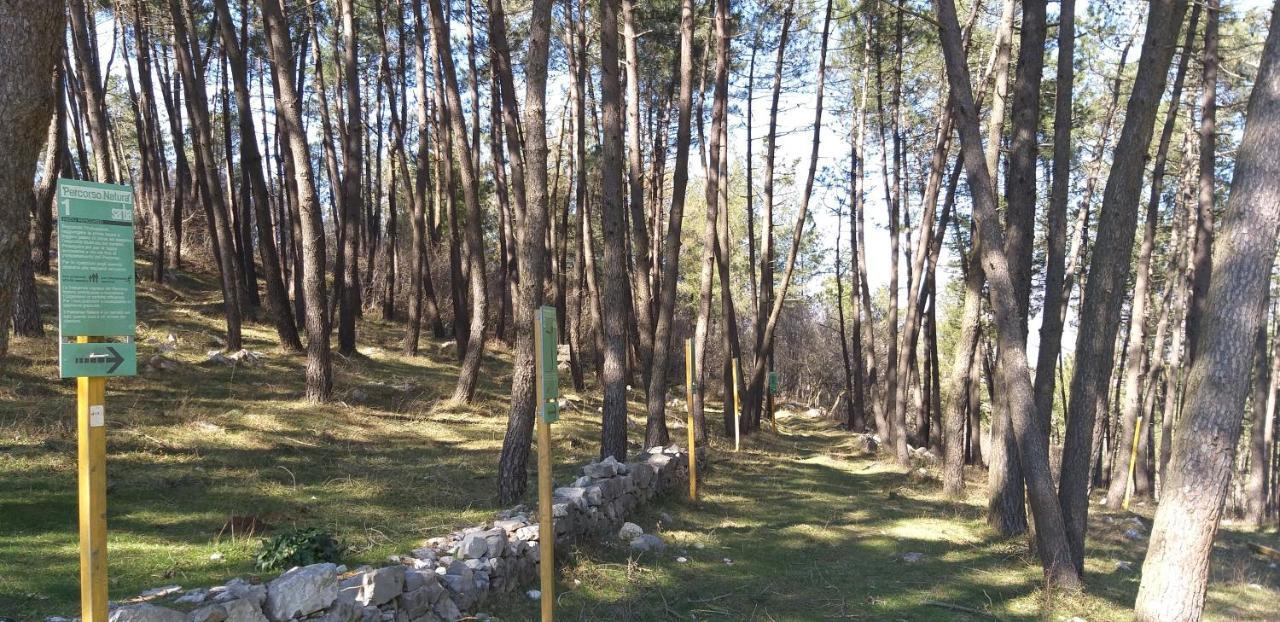 B&B Il Melograno Tortorella Bagian luar foto