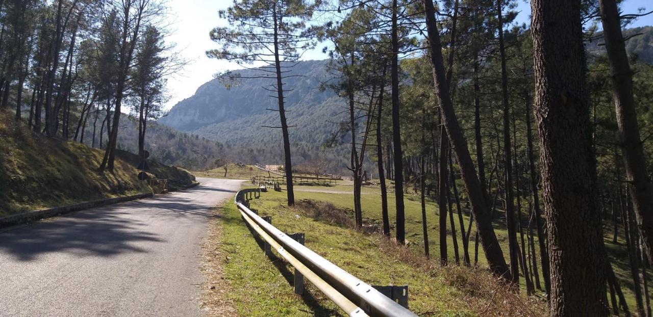 B&B Il Melograno Tortorella Bagian luar foto